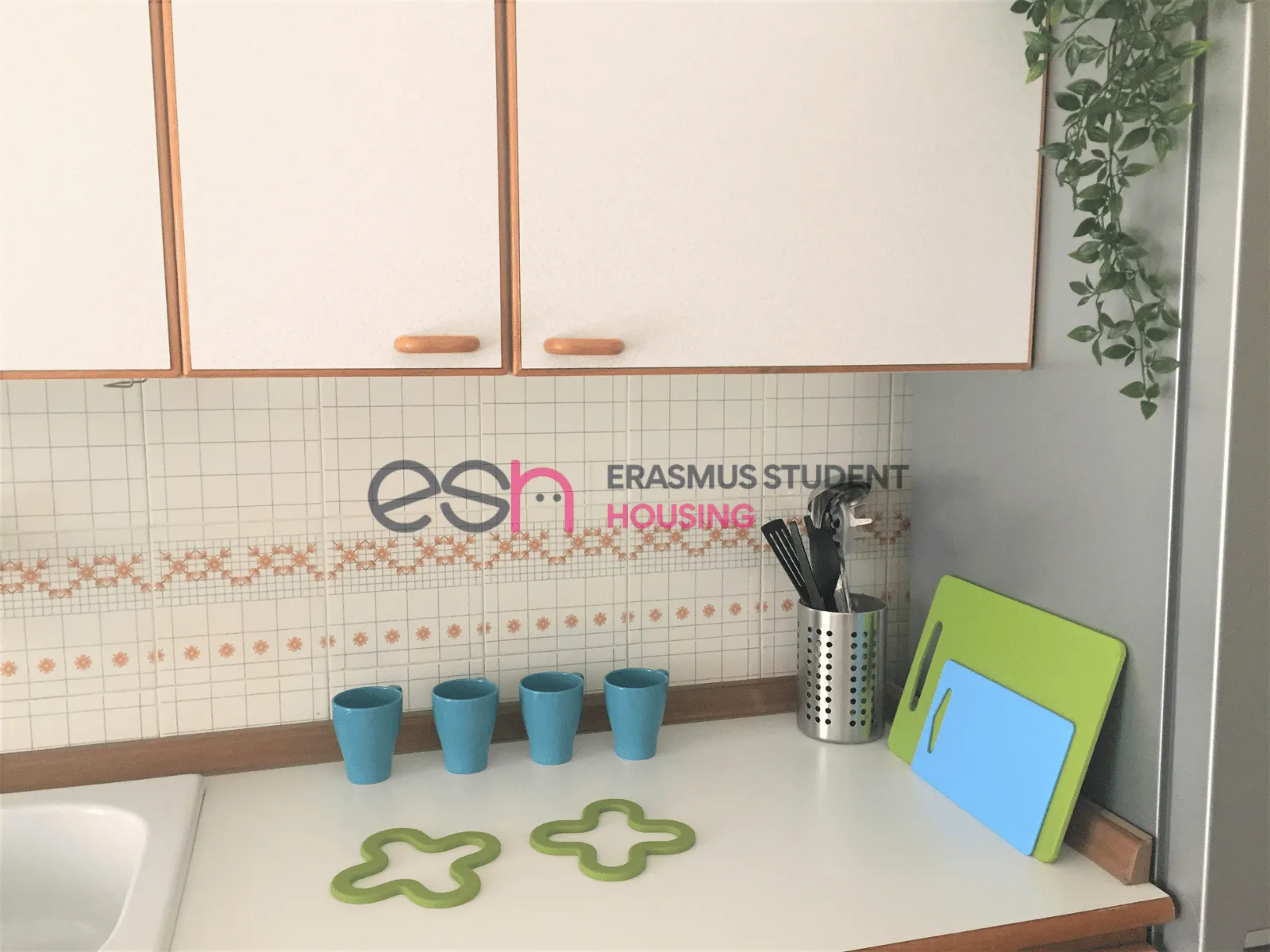 Cucina 5